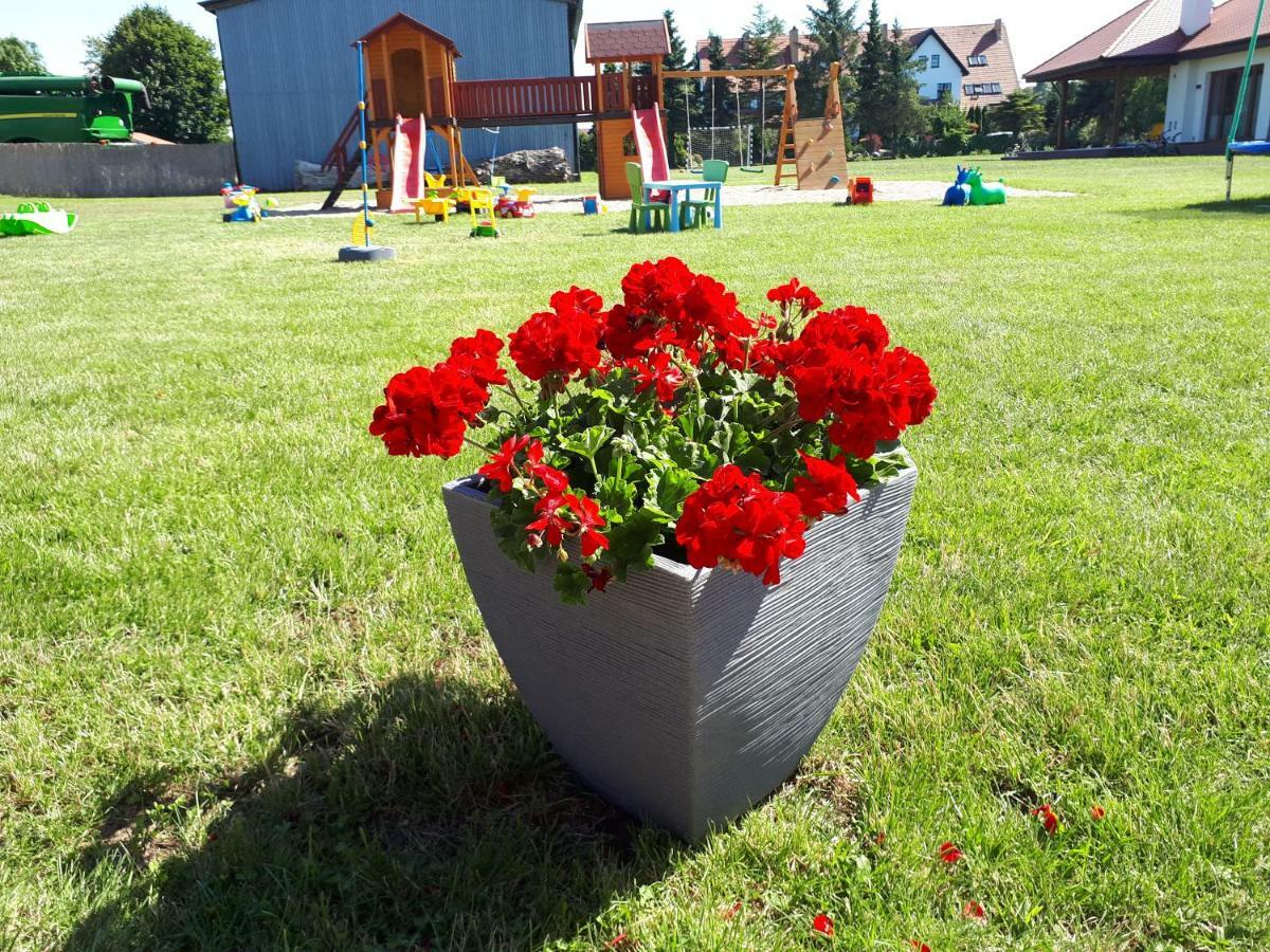 Domki Letniskowe Rekinek Ujście-Darłowskie Exteriér fotografie